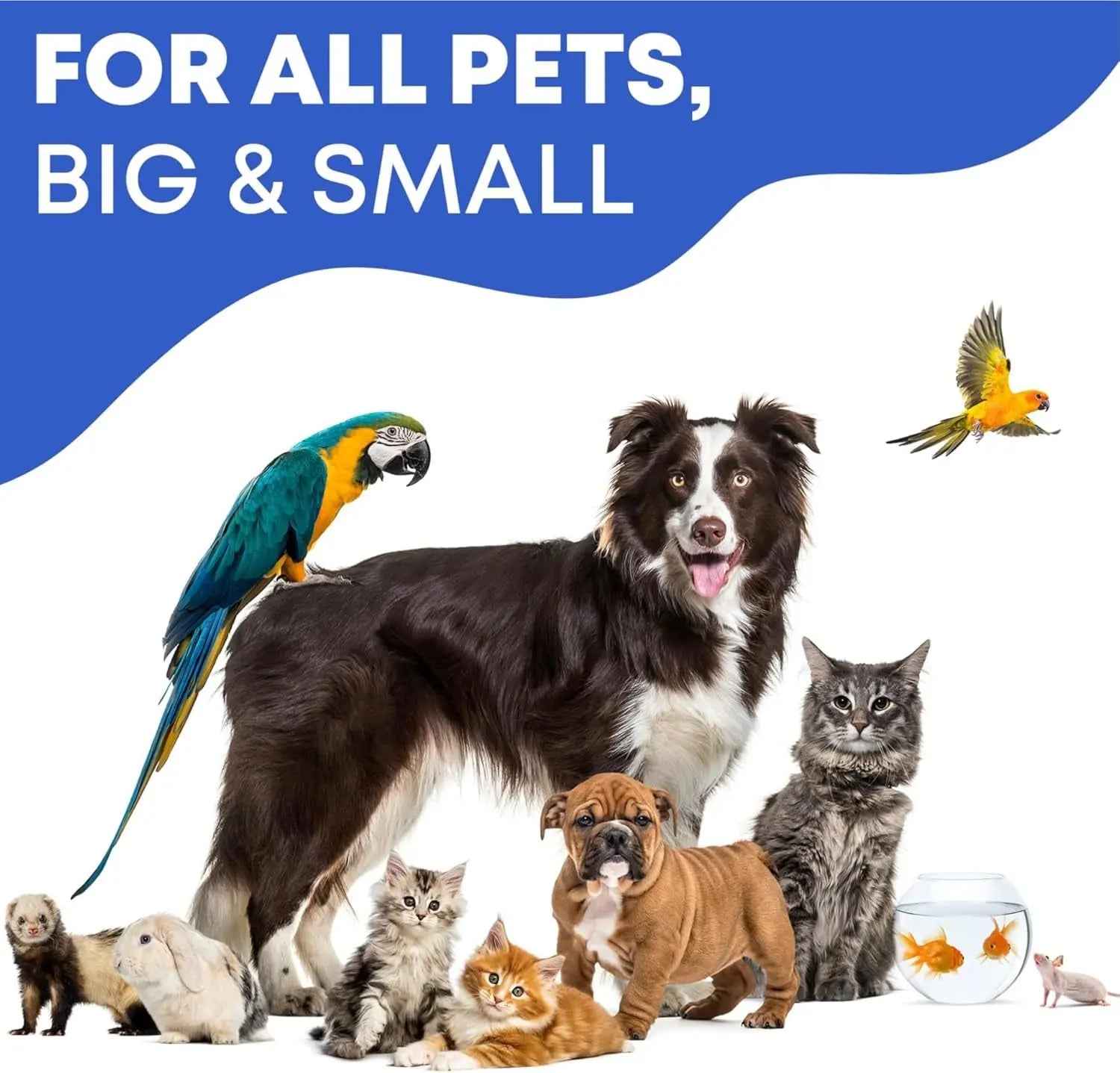 Cat & Dog Ear Cleaner Drops for Yeast, Wax & Itchy Ears