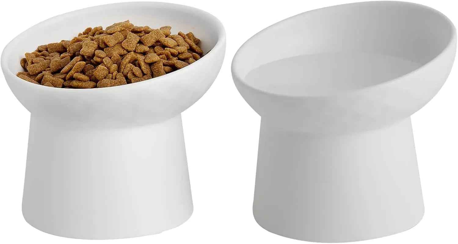 Ceramic Raised Tilted Cat Bowls, Set of 2 Porcelain Feeder