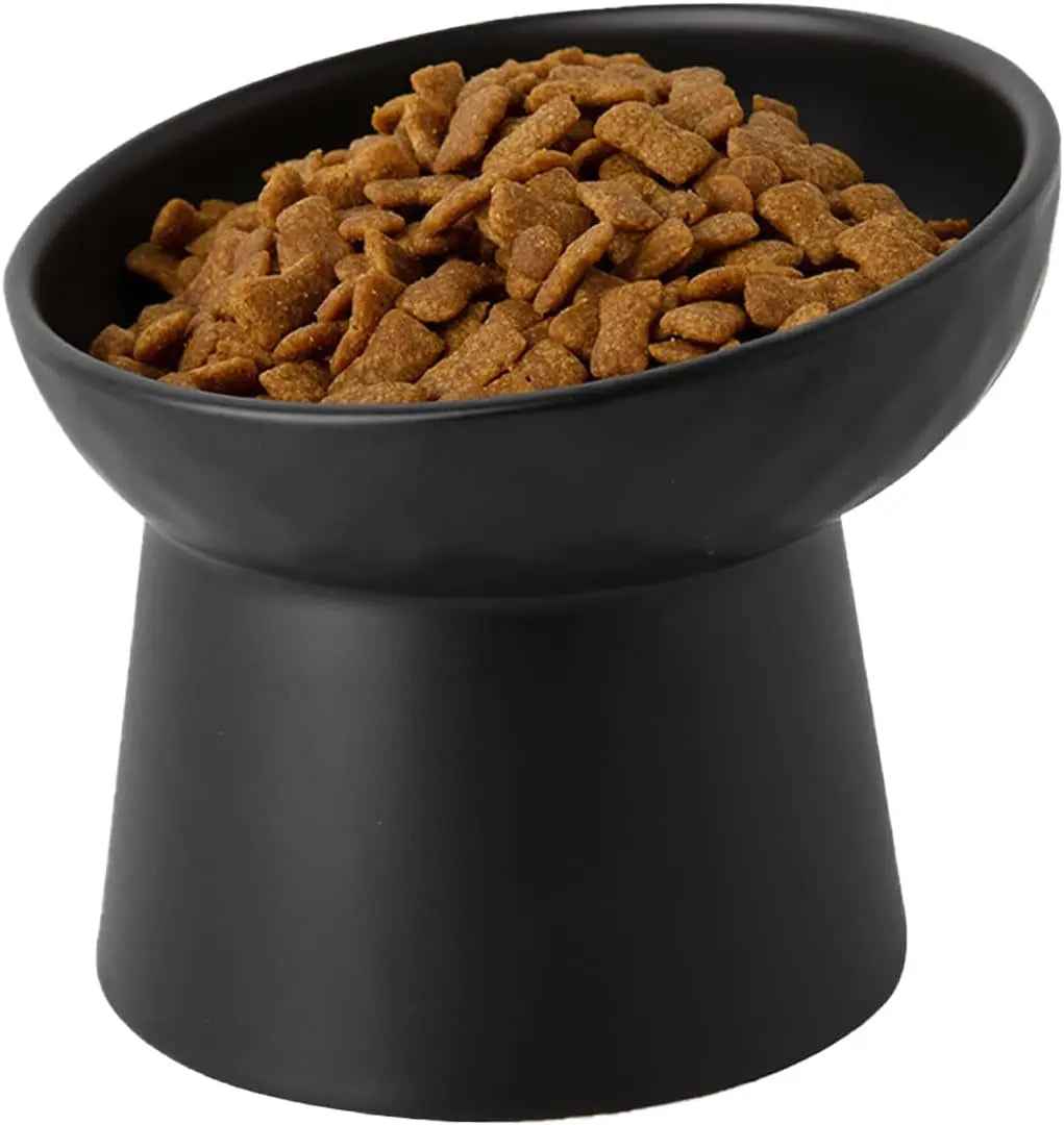 Ceramic Raised Tilted Cat Bowls, Set of 2 Porcelain Feeder