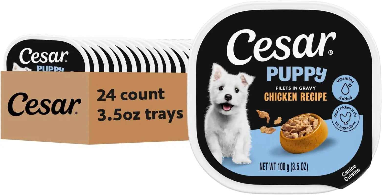 Cesar Puppy Classic Wet Dog Food, Chicken & Beef, 24ct, 3.5oz