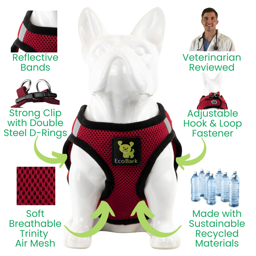 EcoBark Step In Dog Harness - Teacup & Small Breeds- Reflective Soft Mesh Harness for Teacup, Small Dogs and Puppies / Burgundy