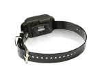 Dummy Collar - Small