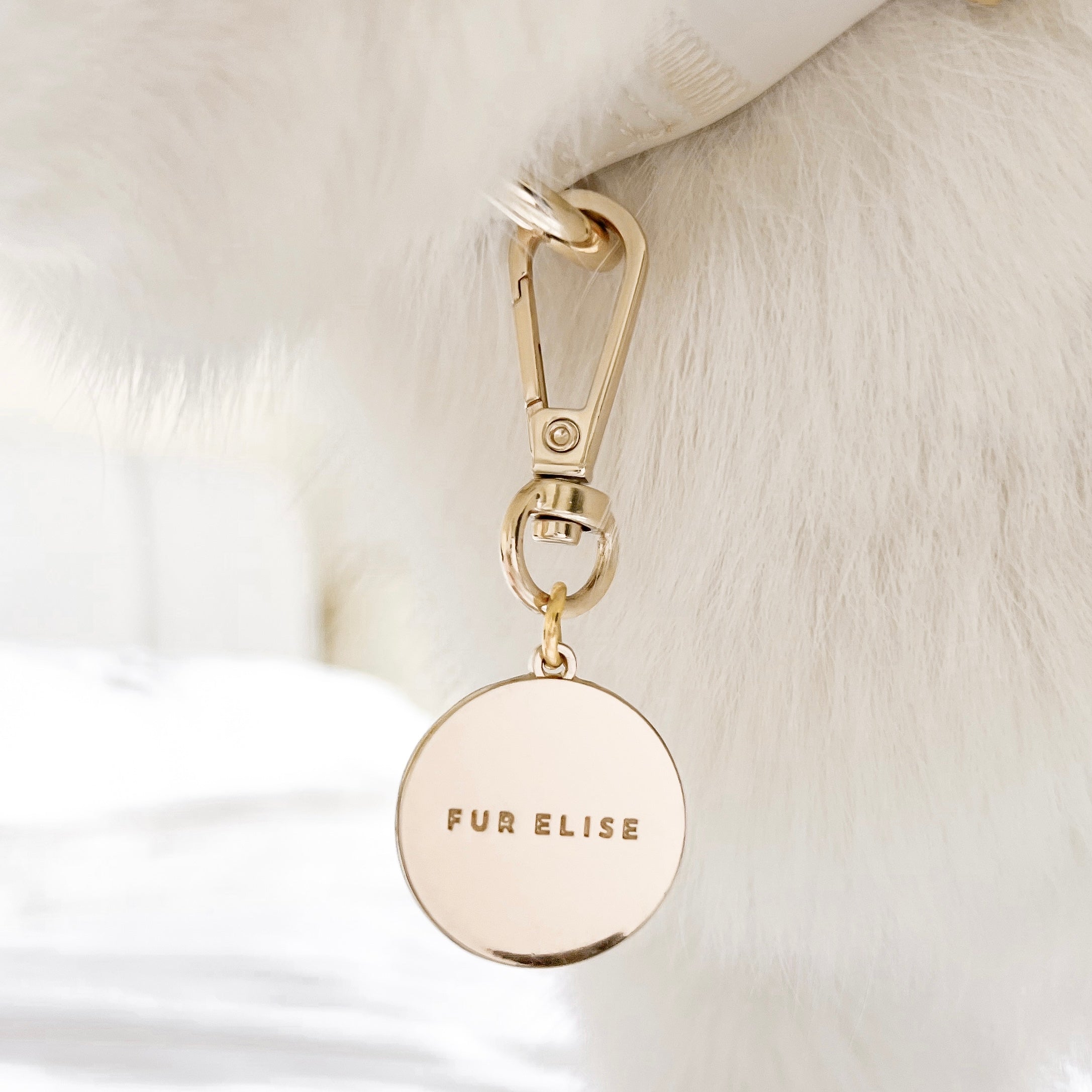 Classic Logo Charm
