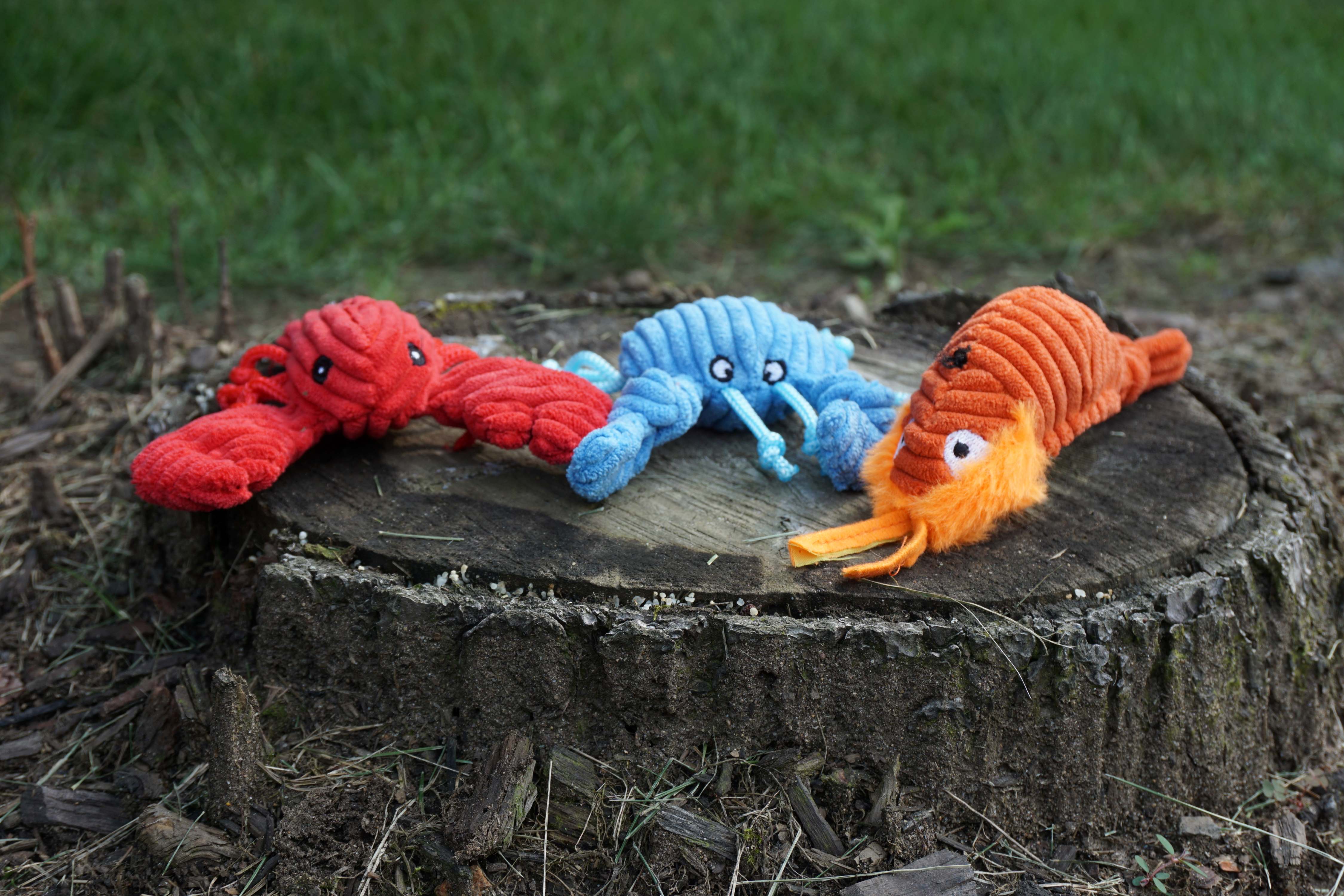 Raw Bar Wee Huggles® Plush Dog Toys, 3 pack
