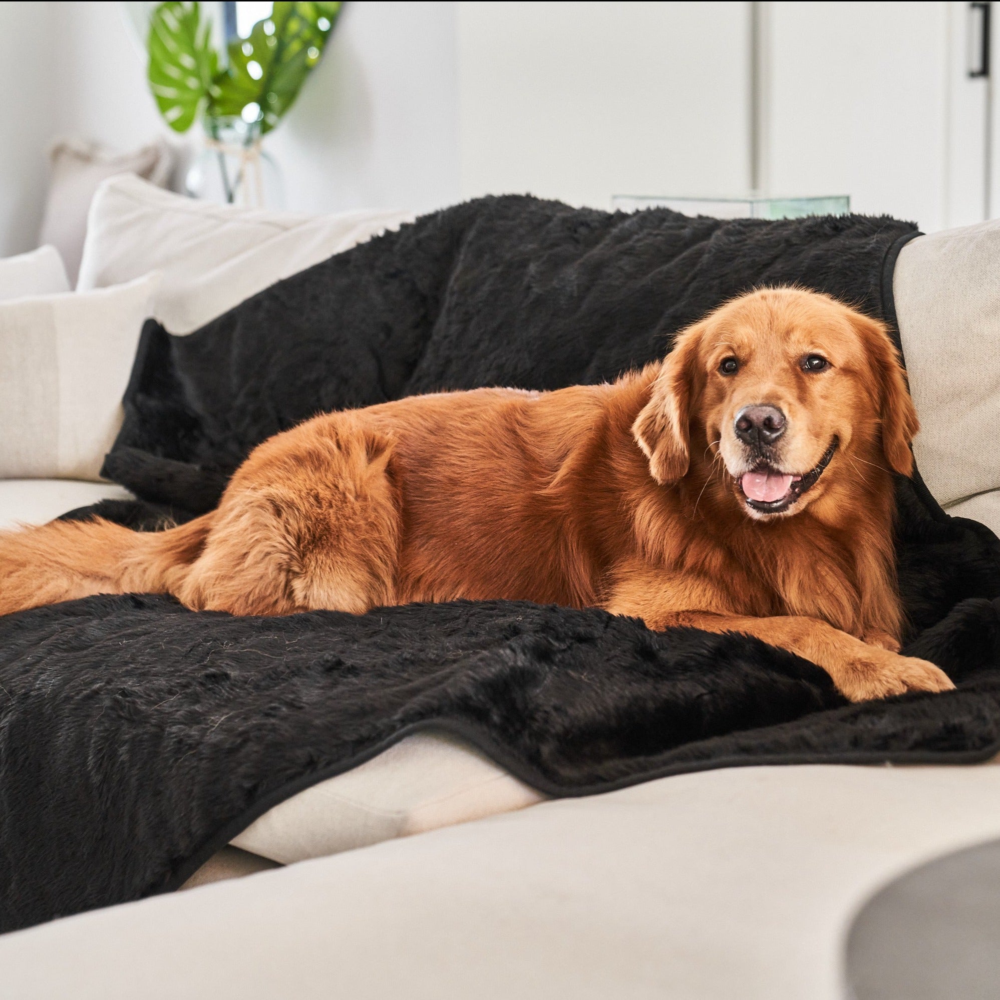 PupProtector Summer Short Fur Waterproof Throw Blanket - Midnight Black