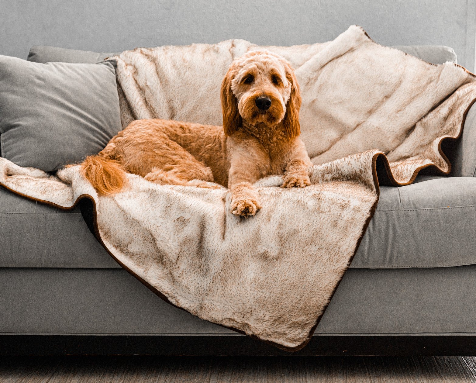 PupProtector Summer Short Fur Waterproof Throw Blanket - White with Brown Accents