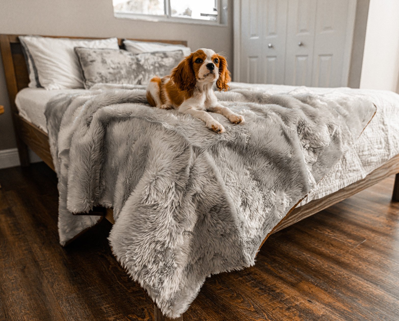 PupProtector Summer Short Fur Waterproof Throw Blanket - Grey