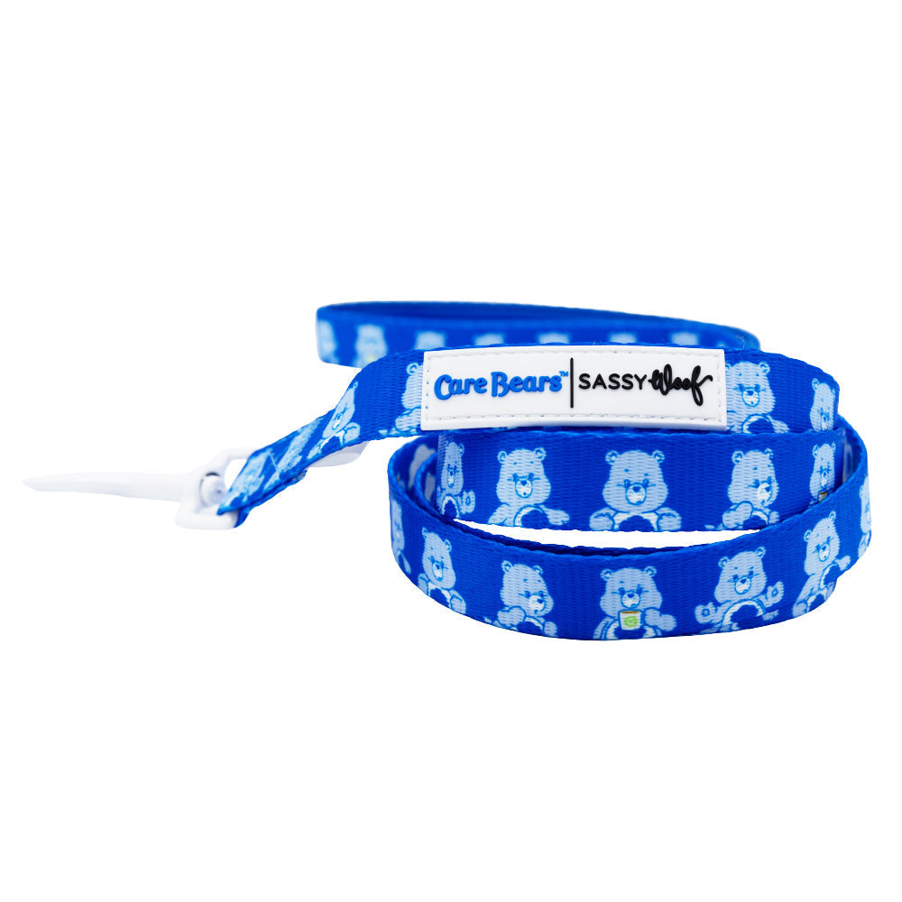 Dog Leash - Care Bears Grumpy Bear