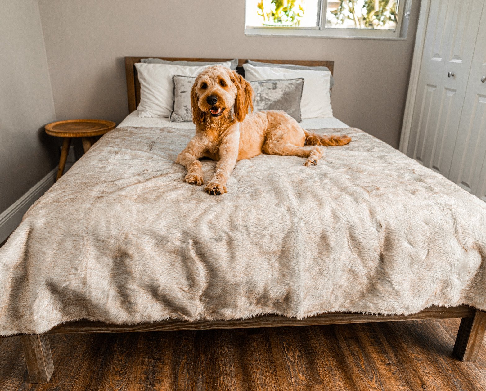 PupProtector Summer Short Fur Waterproof Throw Blanket - White with Brown Accents