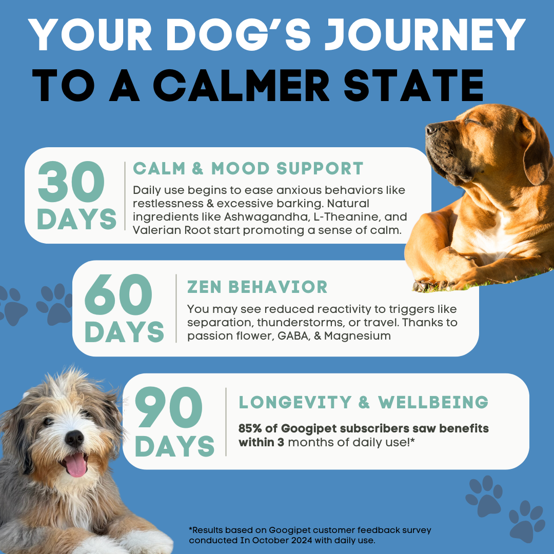 Hemp Calming Chews for Dogs
