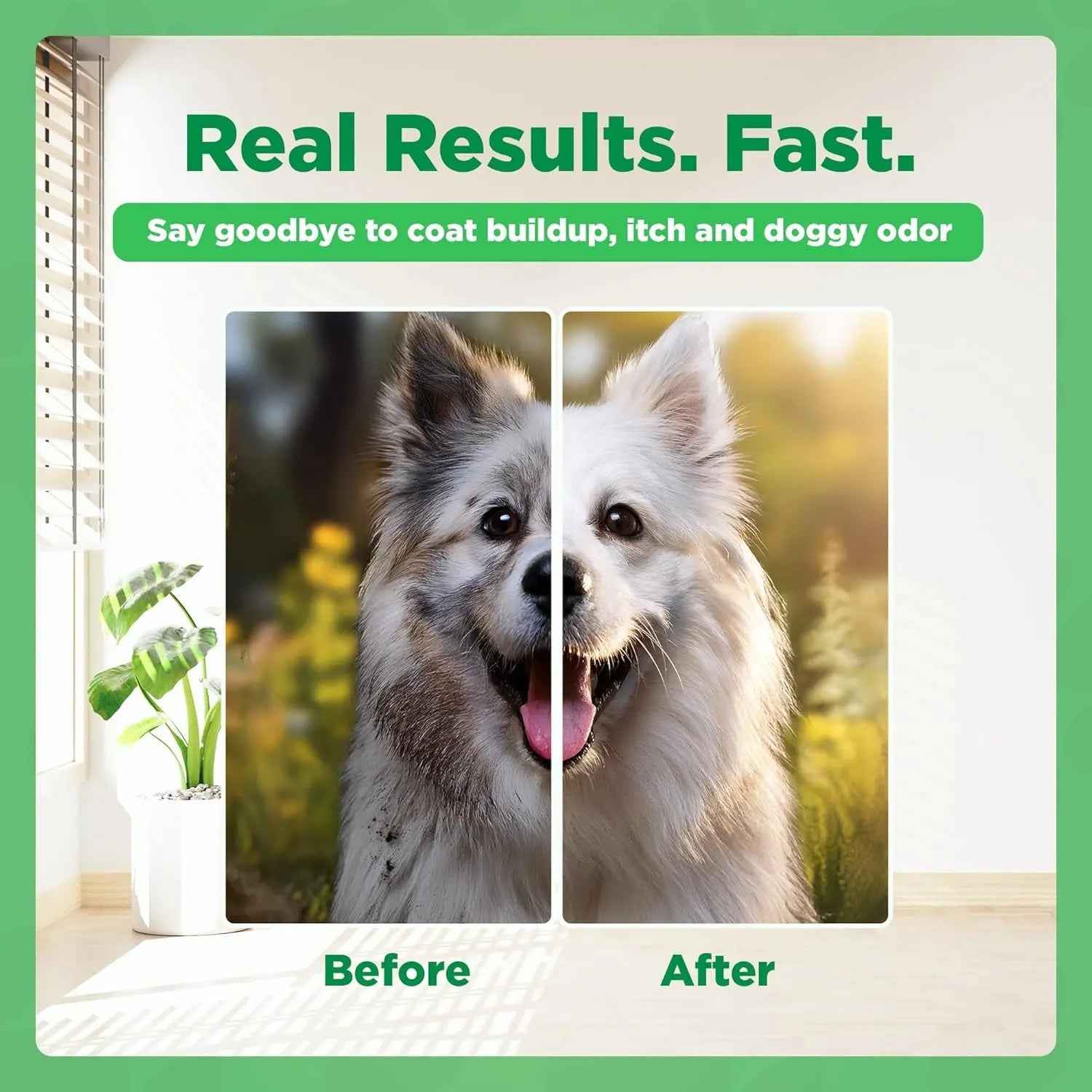 Chlorhexidine Dog Shampoo for Itchy Skin, Hot Spots & Allergies 16.9oz