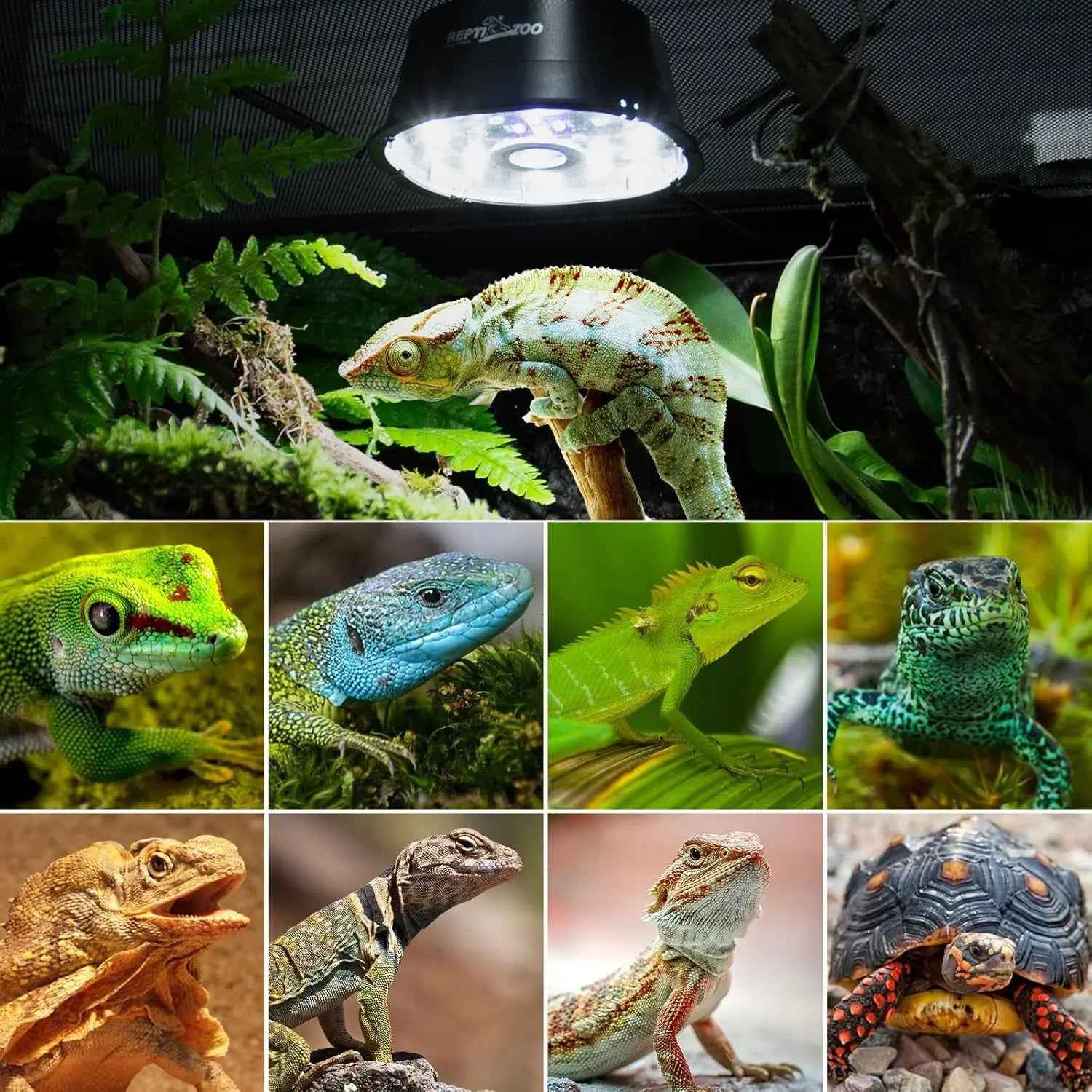 Dimmable UVB Reptile Light LED UVA UVB Lamp Fixture
