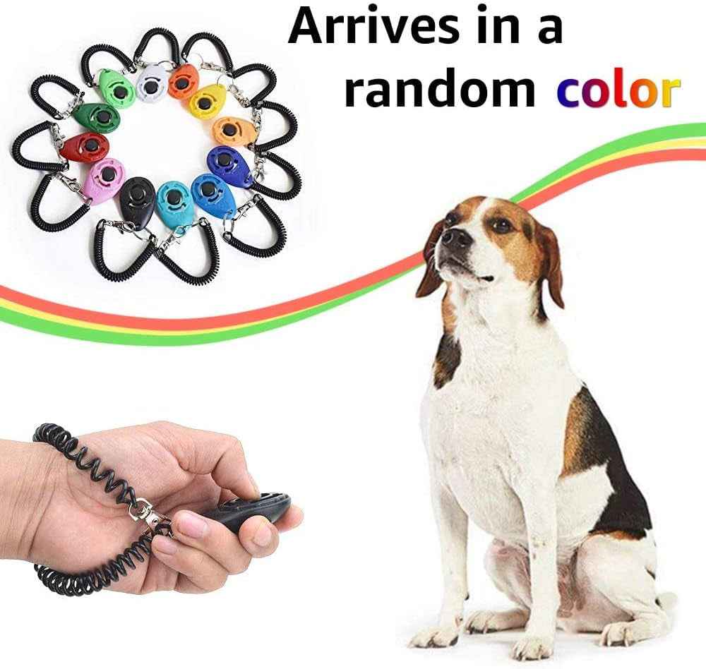 Waterproof Dog Training Collar, Remote for 1-2 Dogs