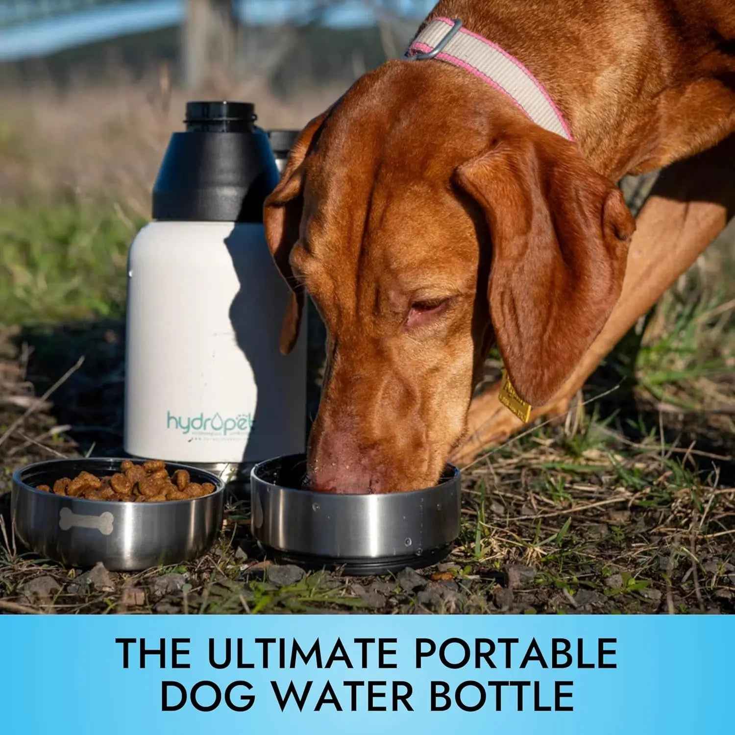 Dog Water Bottle 32/64oz Insulated w Food Bowl Travel