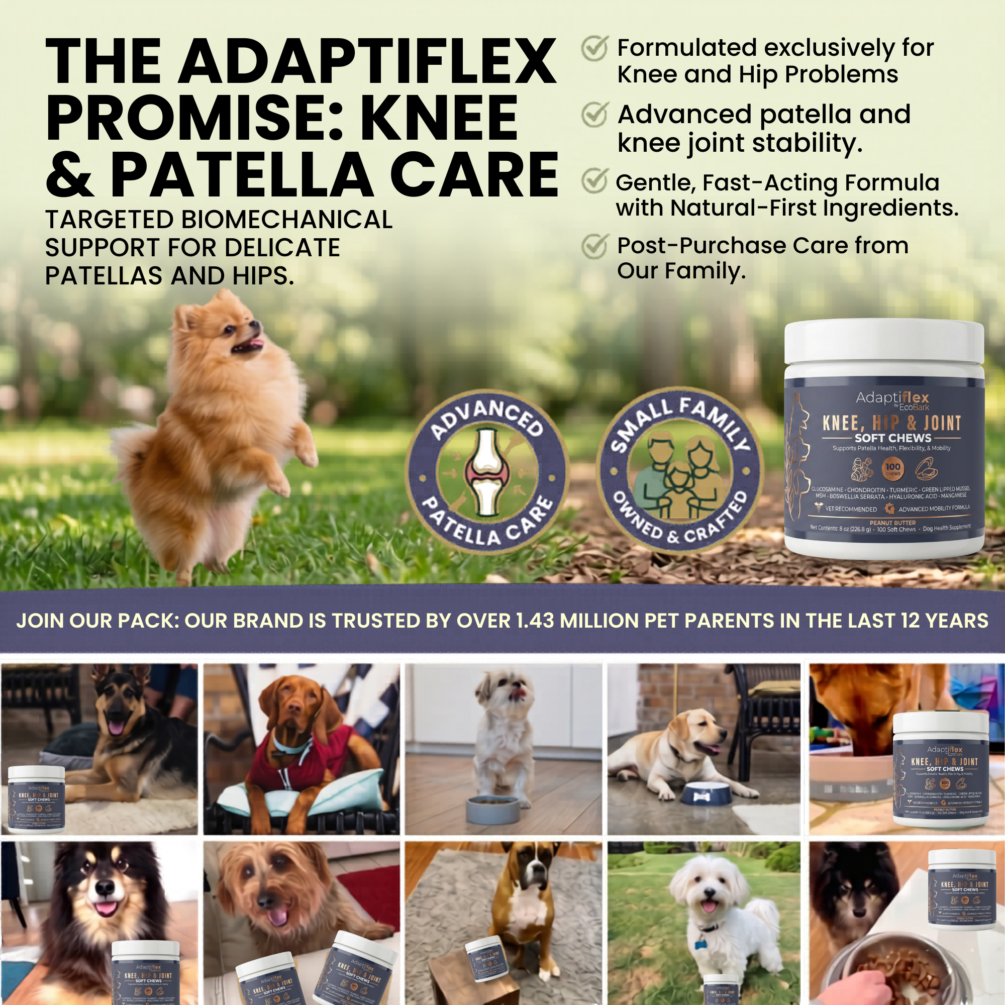 Coming Soon: The World's First Knee & Joint Supplement for Dogs with Glucosamine, Chondroitin, and MSM
