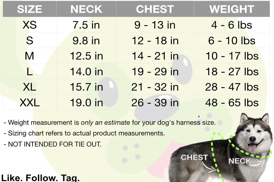 EcoBark Gray Dog Harness - Over-the-Head Dog Soft Mesh Vest Halter for Small to Medium Dogs and Puppies