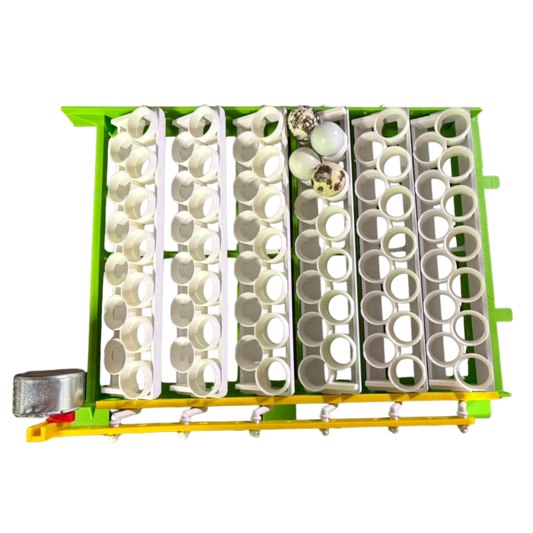 Jumbo Quail Egg Rails for Cimuka / Hatching Time CT60 – Full Set (12 Rails)