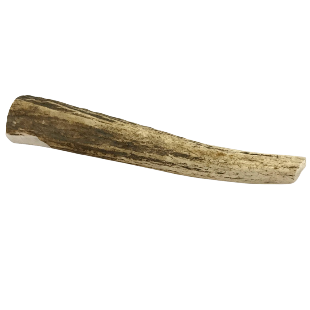 Large Whole Elk Antler Dog Chew