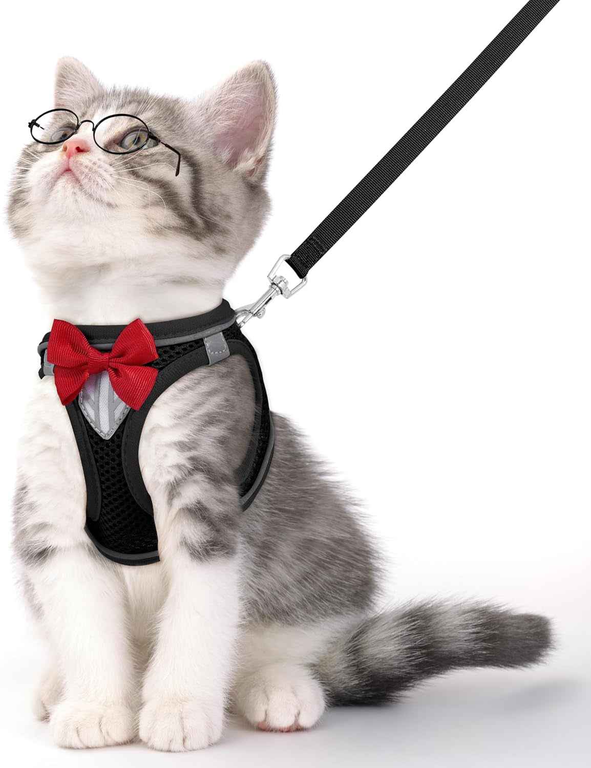 Escape-Proof Cat Harness & Leash Set – Reflective, Adjustable, Breathable