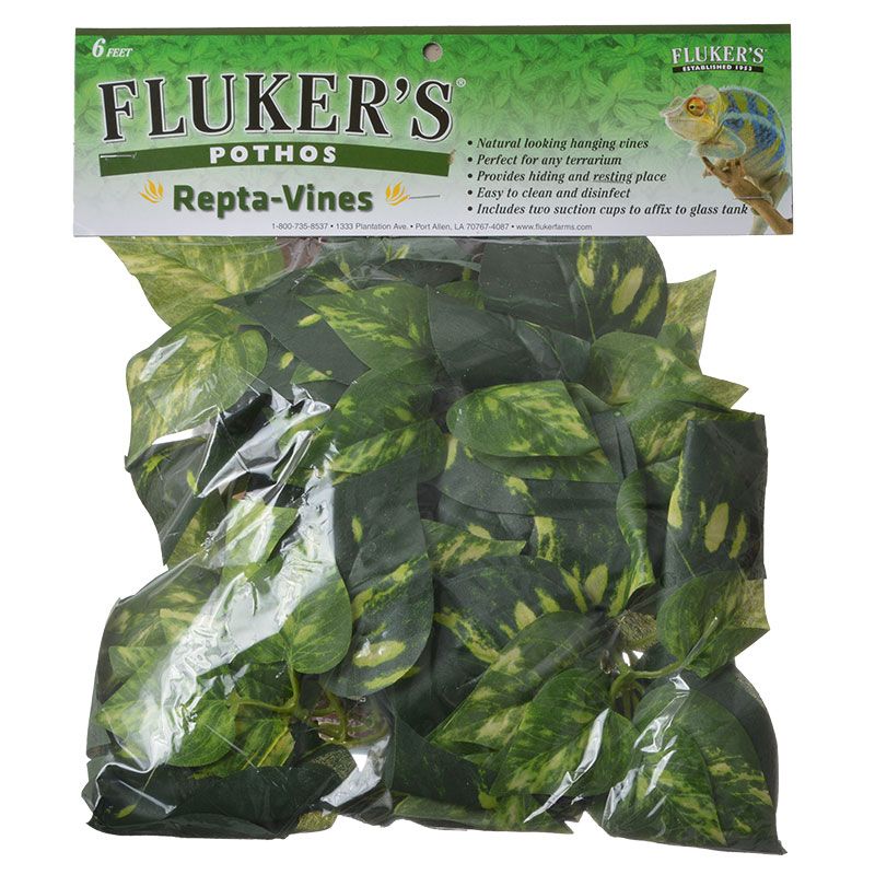Fk 6Ft Pythos Repti Vine