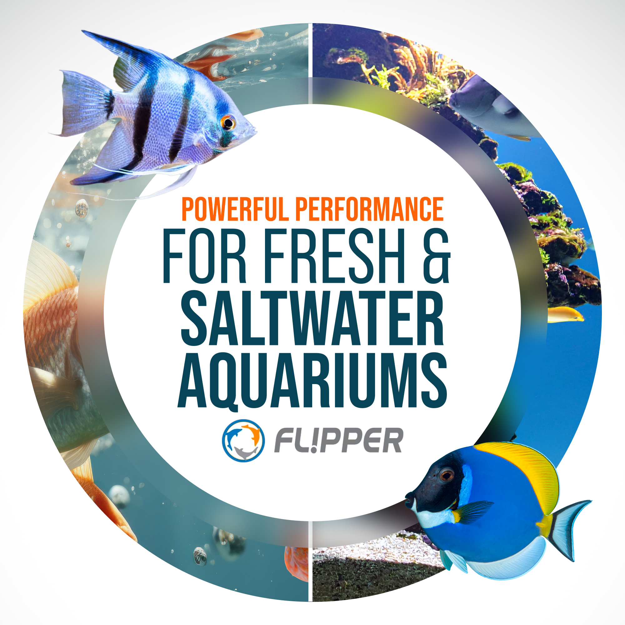 Flipper Edge 2 in 1 Floating Magnetic Aquarium Algae Cleaner (Standard)