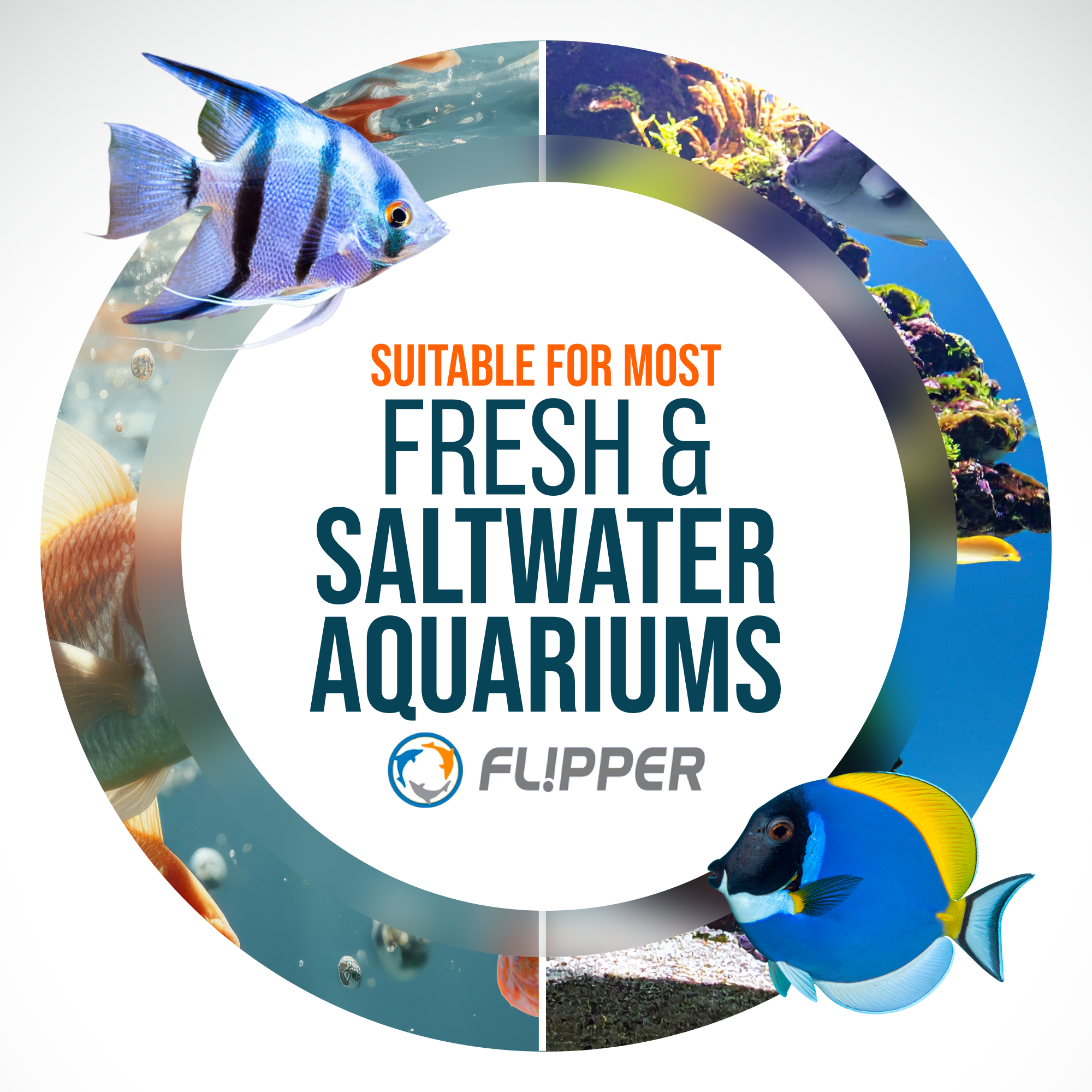 Flipper Platinum Aquarium Algae Scraper - 28"