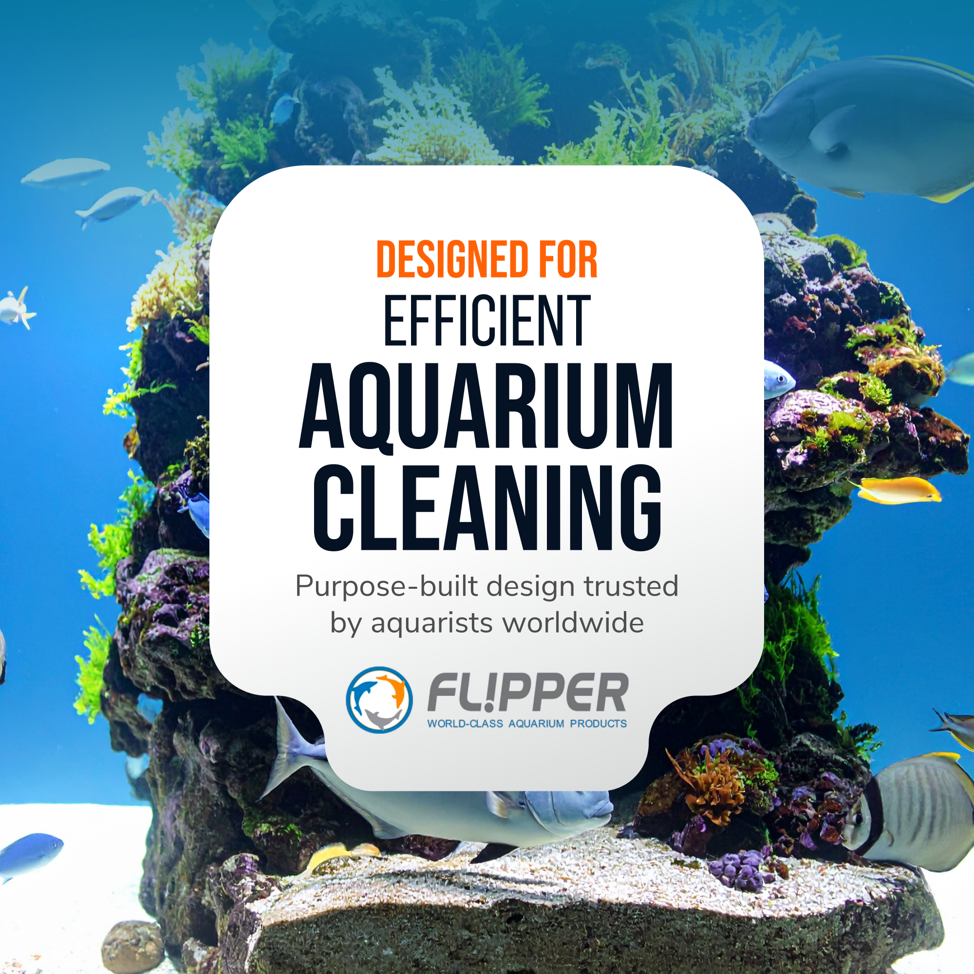 Flipper Platinum NANO Aquarium Algae Scraper 12"