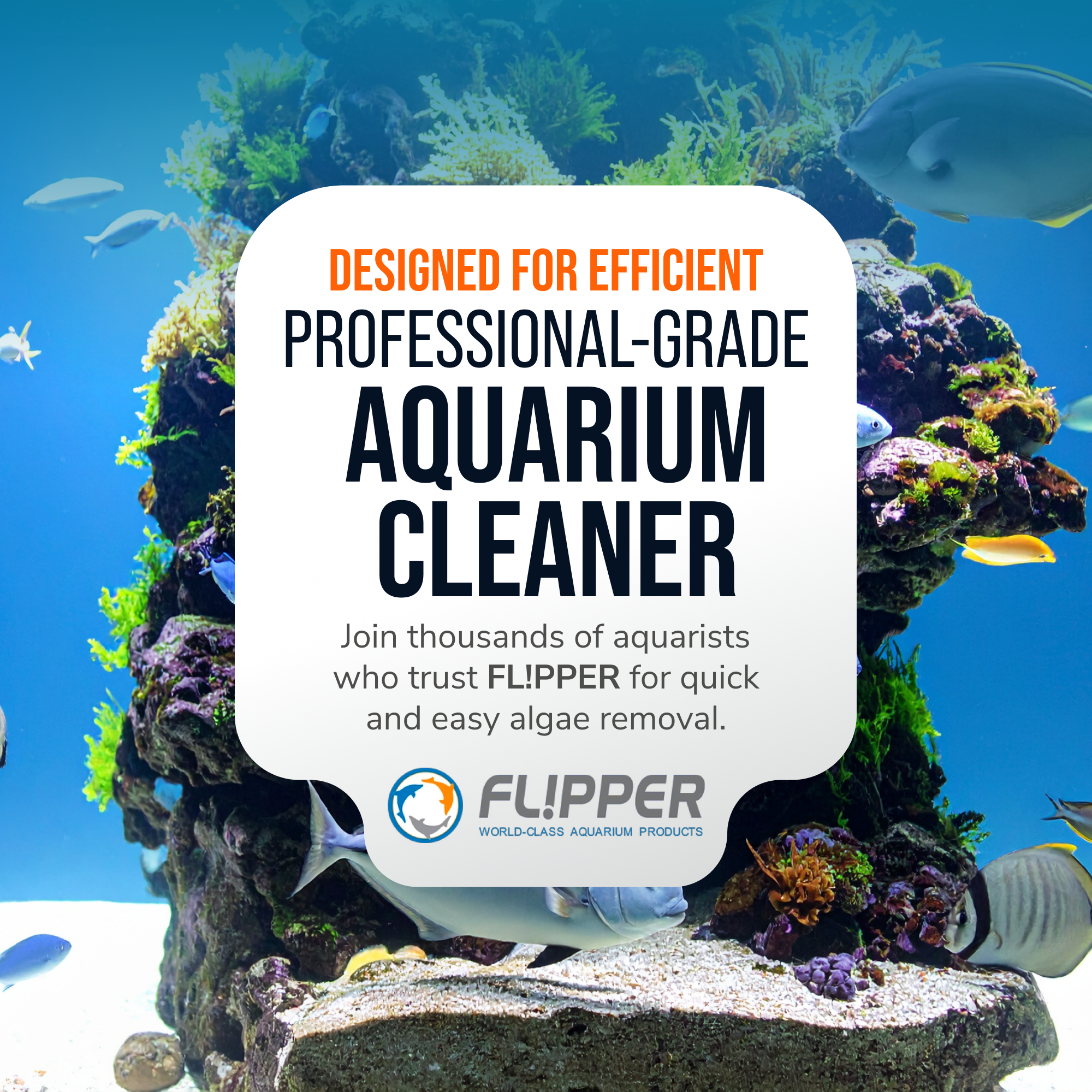Flipper Nano Aquarium Cleaner Stainless Steel Replacement Blades 2 Pack