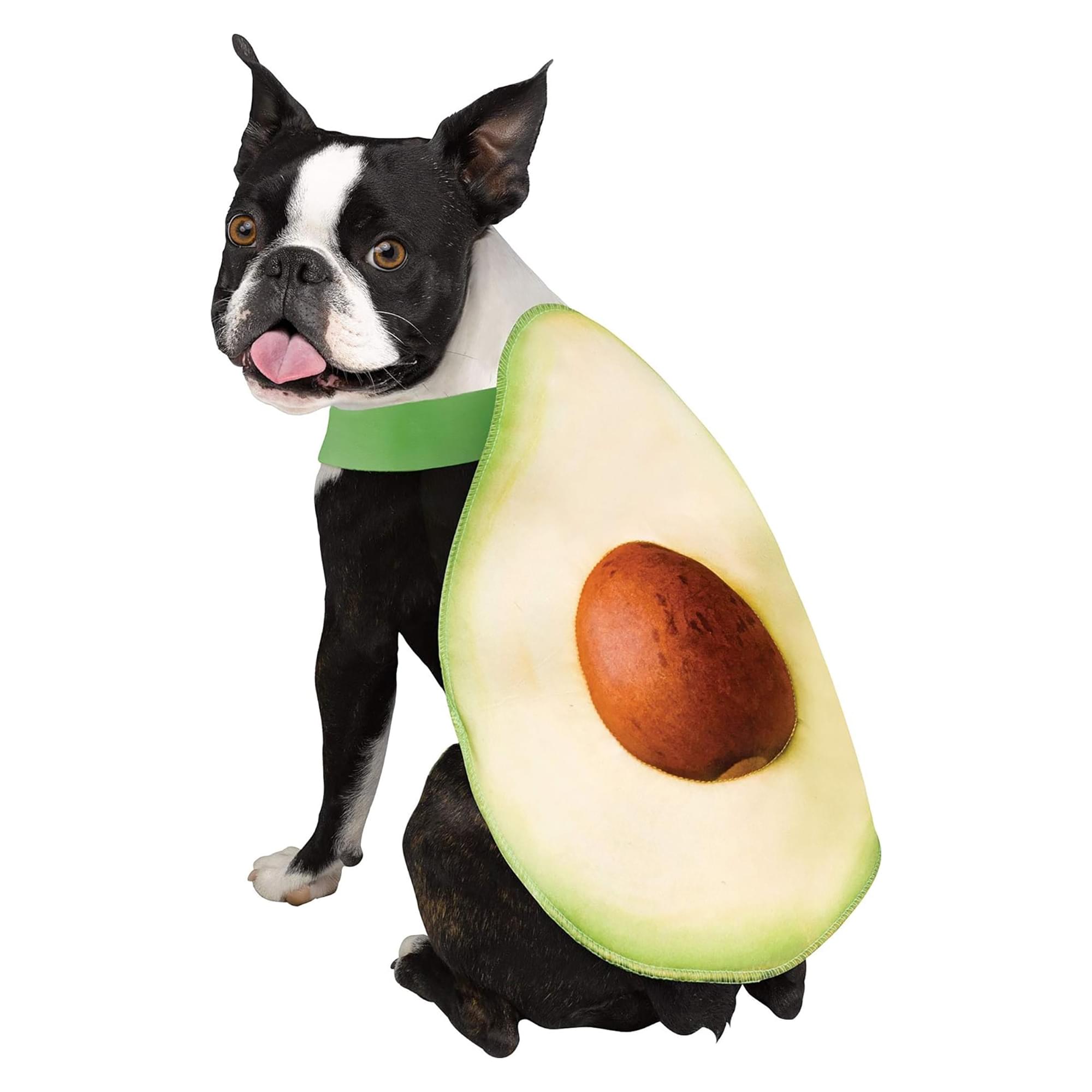 Avocado Food Pet costume  X-Small