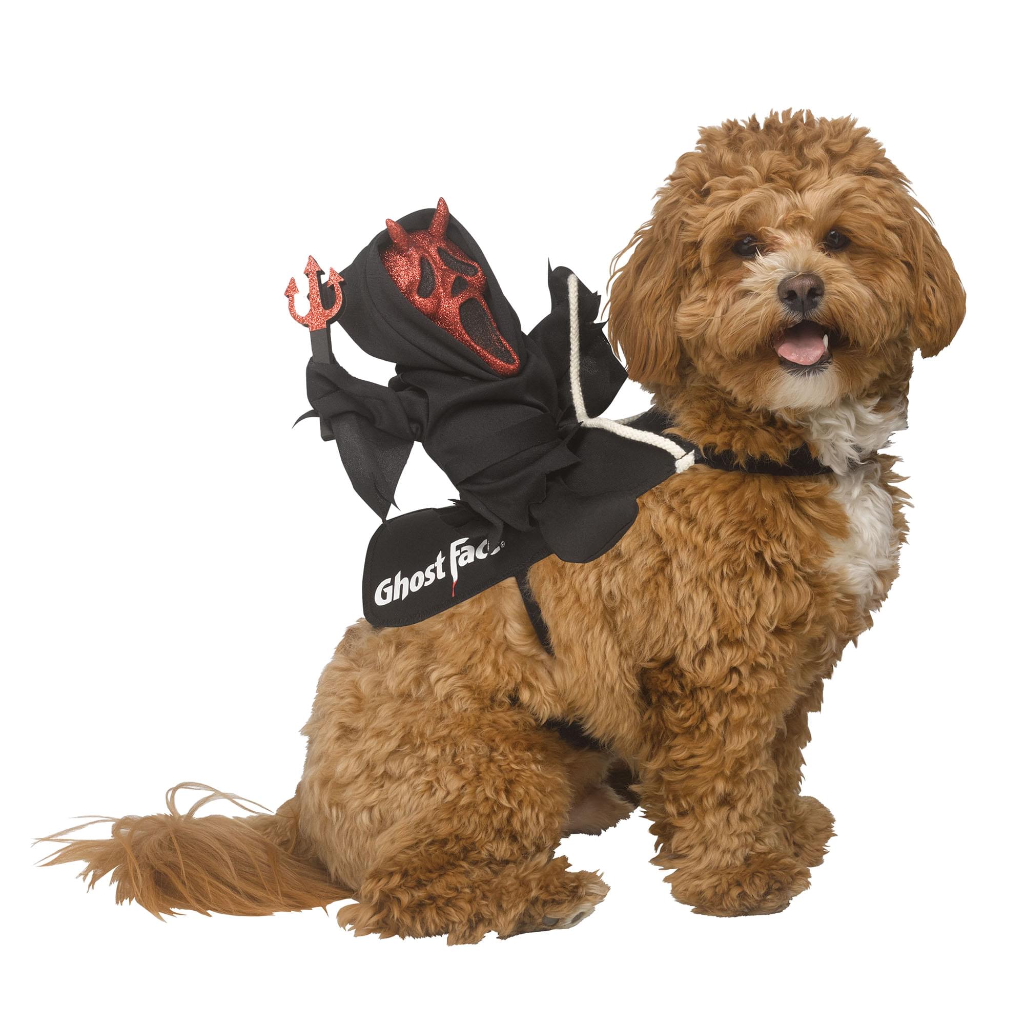Ghost Face Devil Rider Pet Costume | Large/ X-Large
