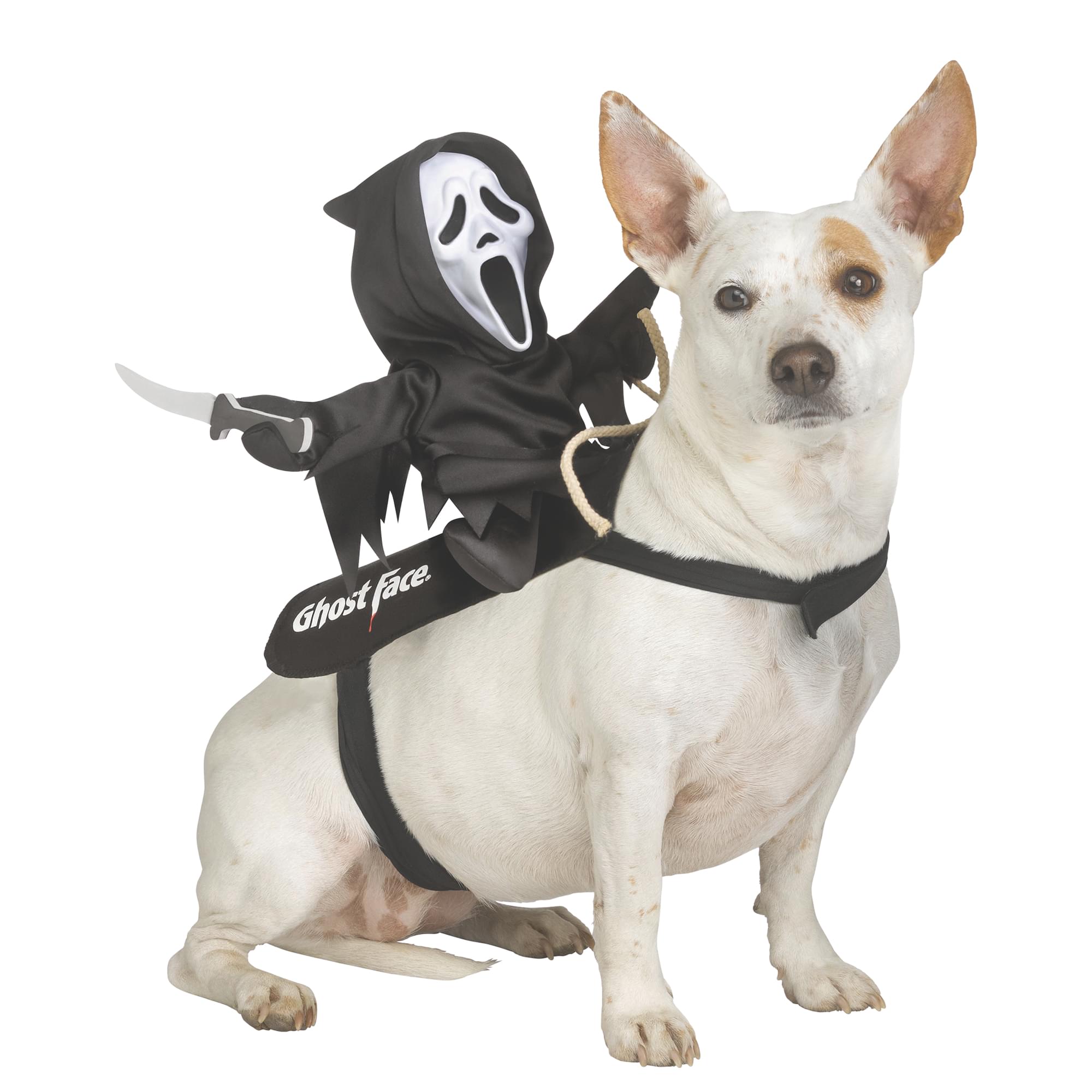 Ghost Face Rider Vest Pet Costume | L/Xl