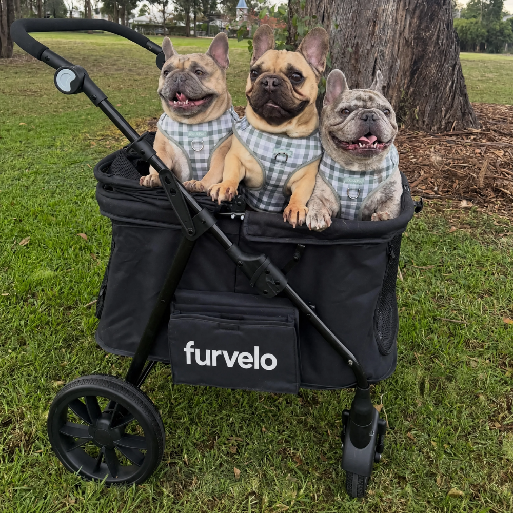 Furvelo Wagon