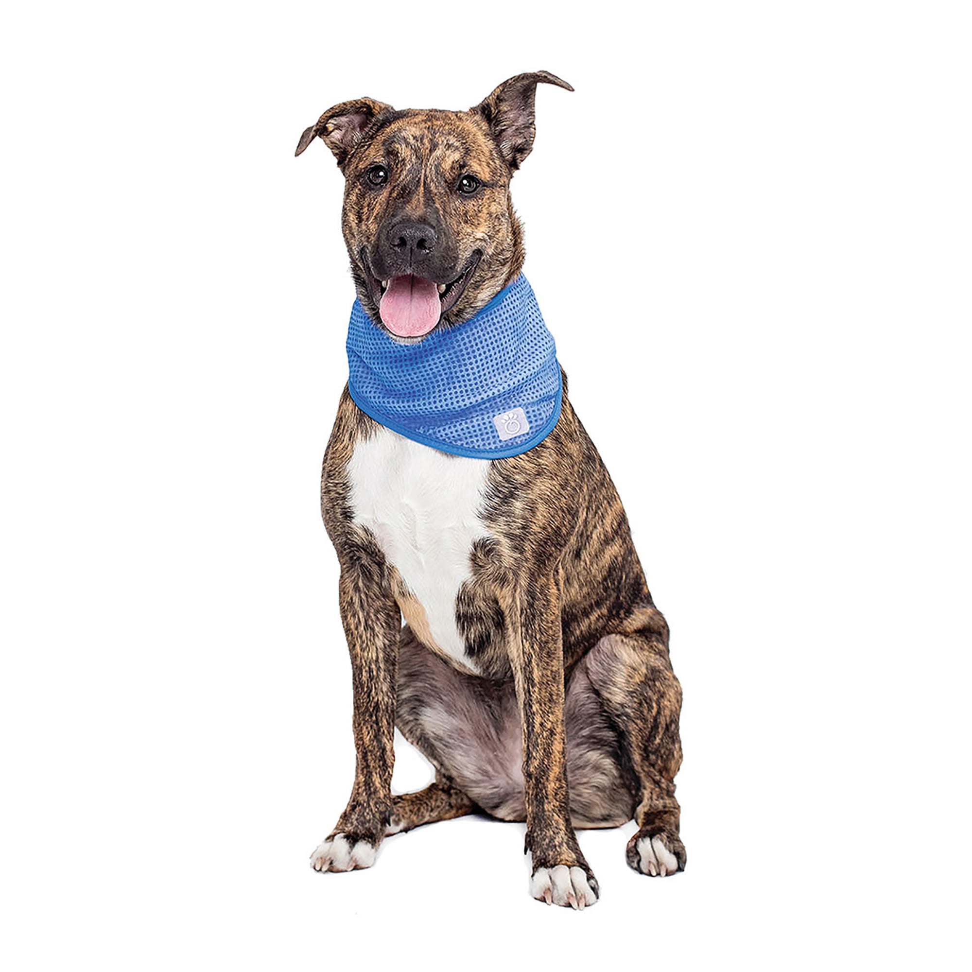 Gf Pet Ice Dog Bandana, Large/X-Large