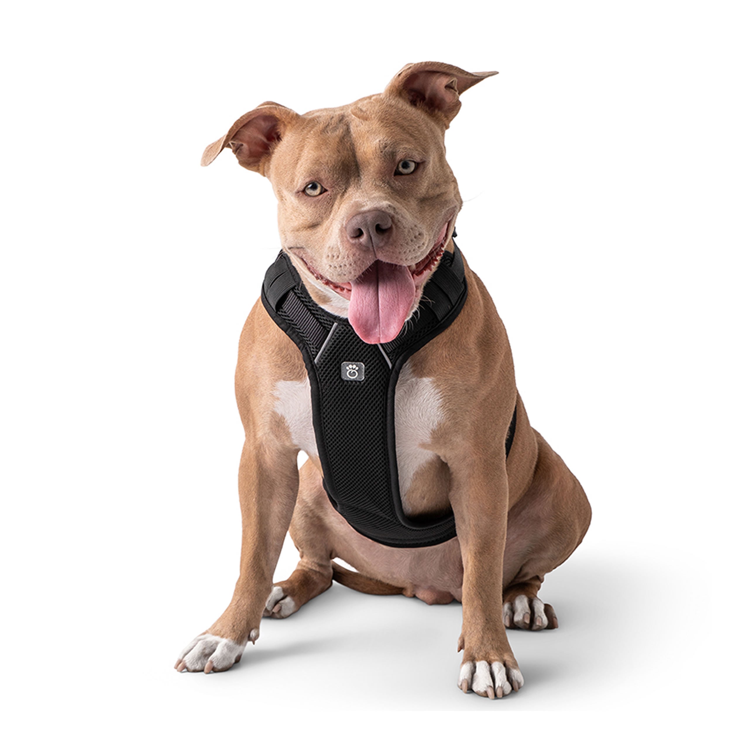 Gf Pet Travel Harness - Black - S