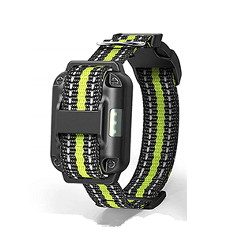 800m Electric Dog Training Collar Product Acessories with LCD Display Pet Remote Control Waterproof Rechargeable Collars