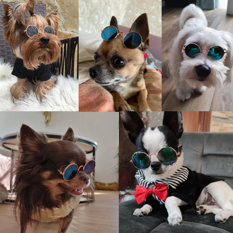 Pet Cat Glasses Dog Pet Product Glasses For Cat Little Dog Toy Eye-Wear Sunglasses Photos Props Pet Cat Accessories Shipping 24h