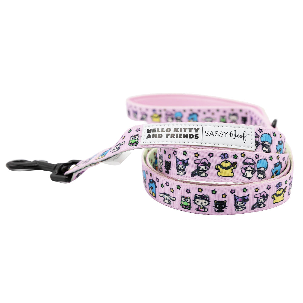 Dog Two Piece Bundle - Hello Kitty® & Friends Flower Festival