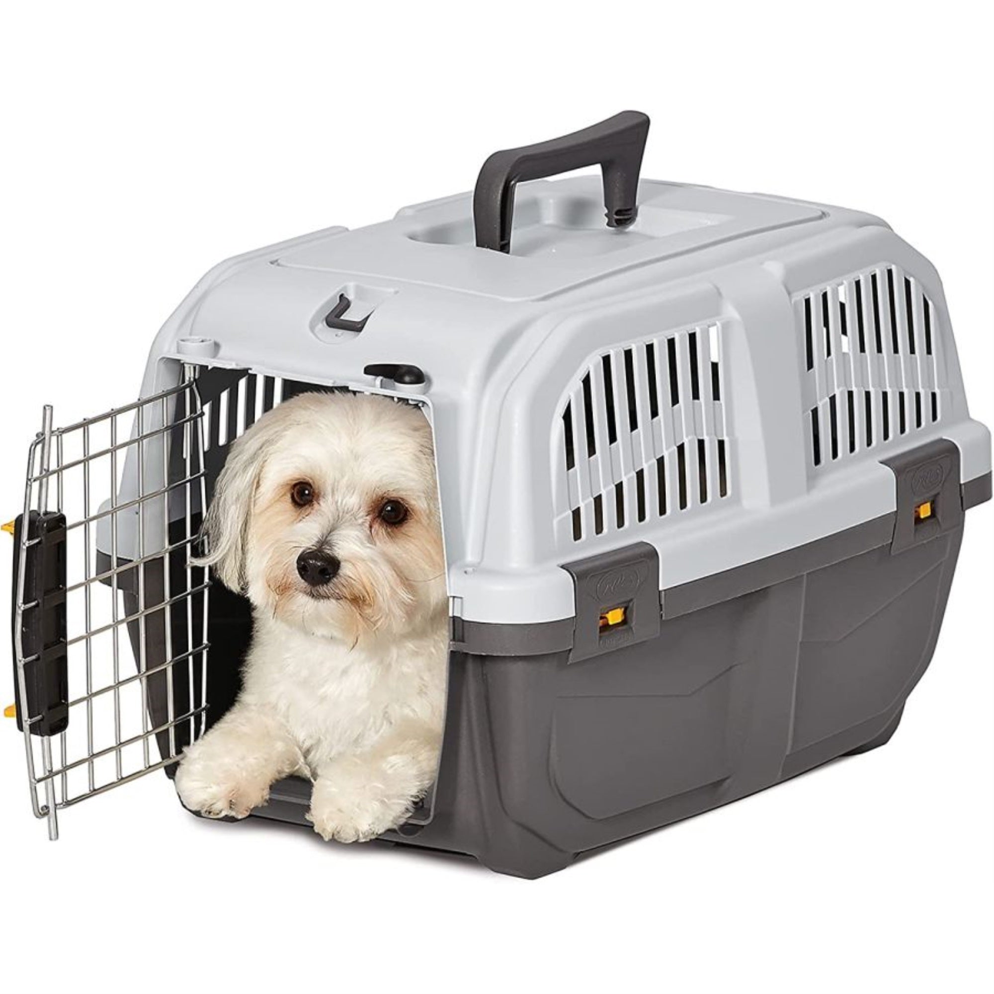 Midwest Homes For Pets Skudo Plastic Carrier, 19-Inch Ideal For 'Toy' Dogs With An Adult Weight Up To 6 Pounds