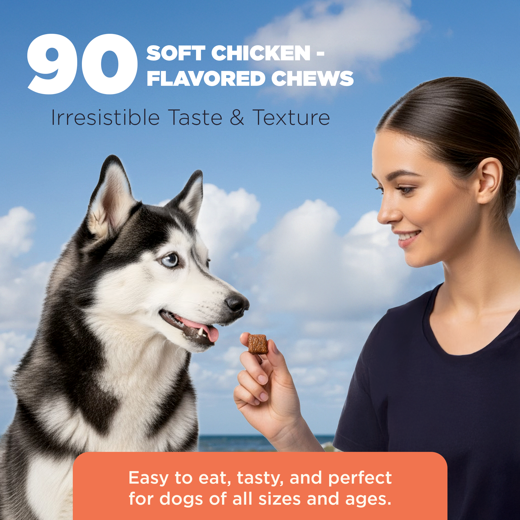 Hip & Joint Chews for Dogs (90 Count Jar)