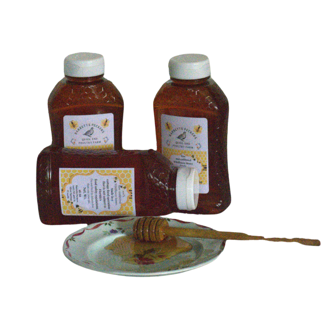 Raw and unfiltered  Wildflower Honey from the Ocala National Forest