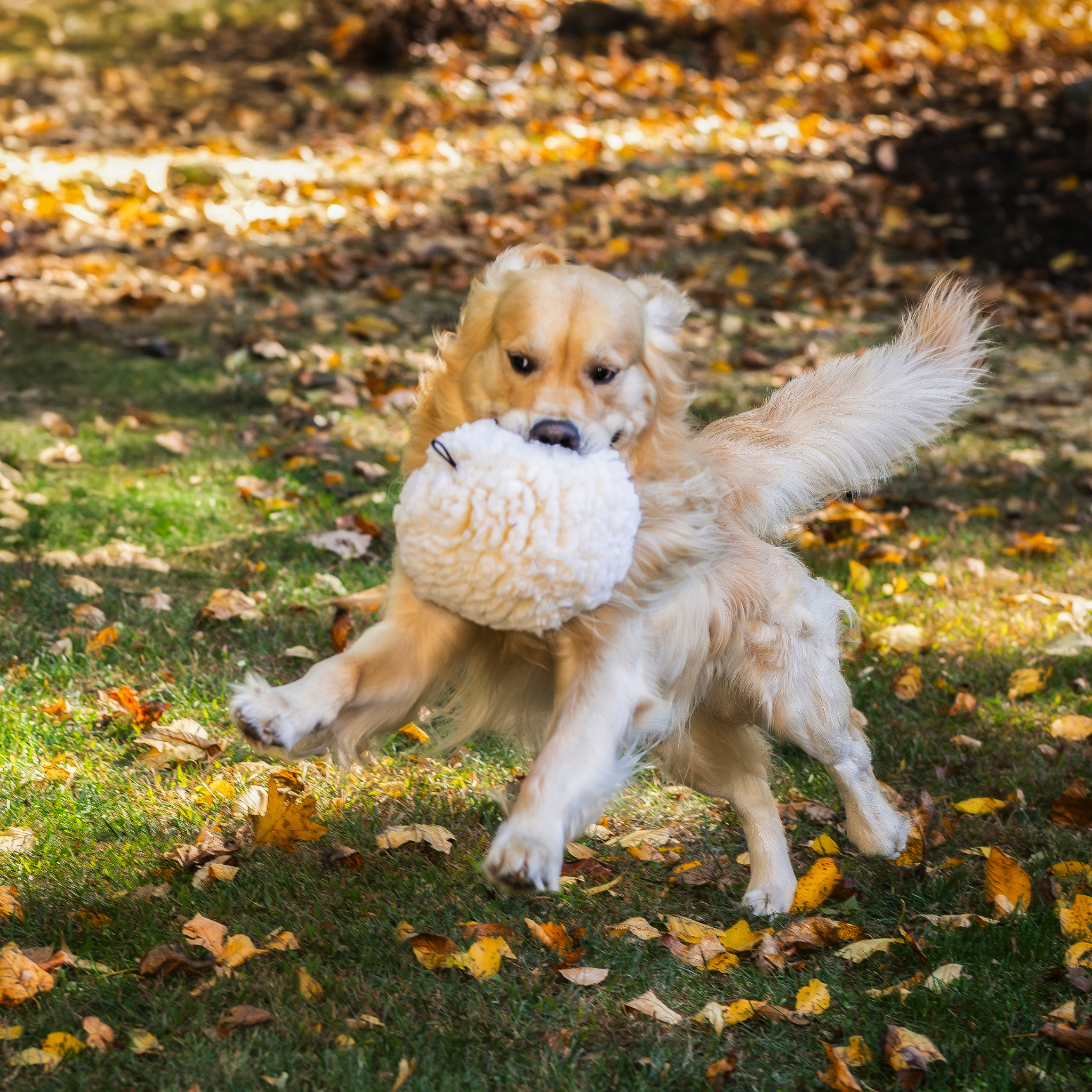HuggleFleece® Plush Ball Dog Toy