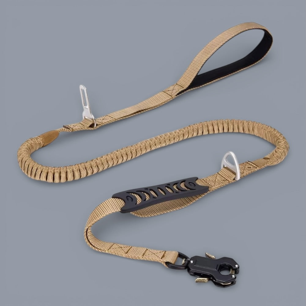 Quick-Release Frog Clip Bungee Leash - (Absorbs Pulls)