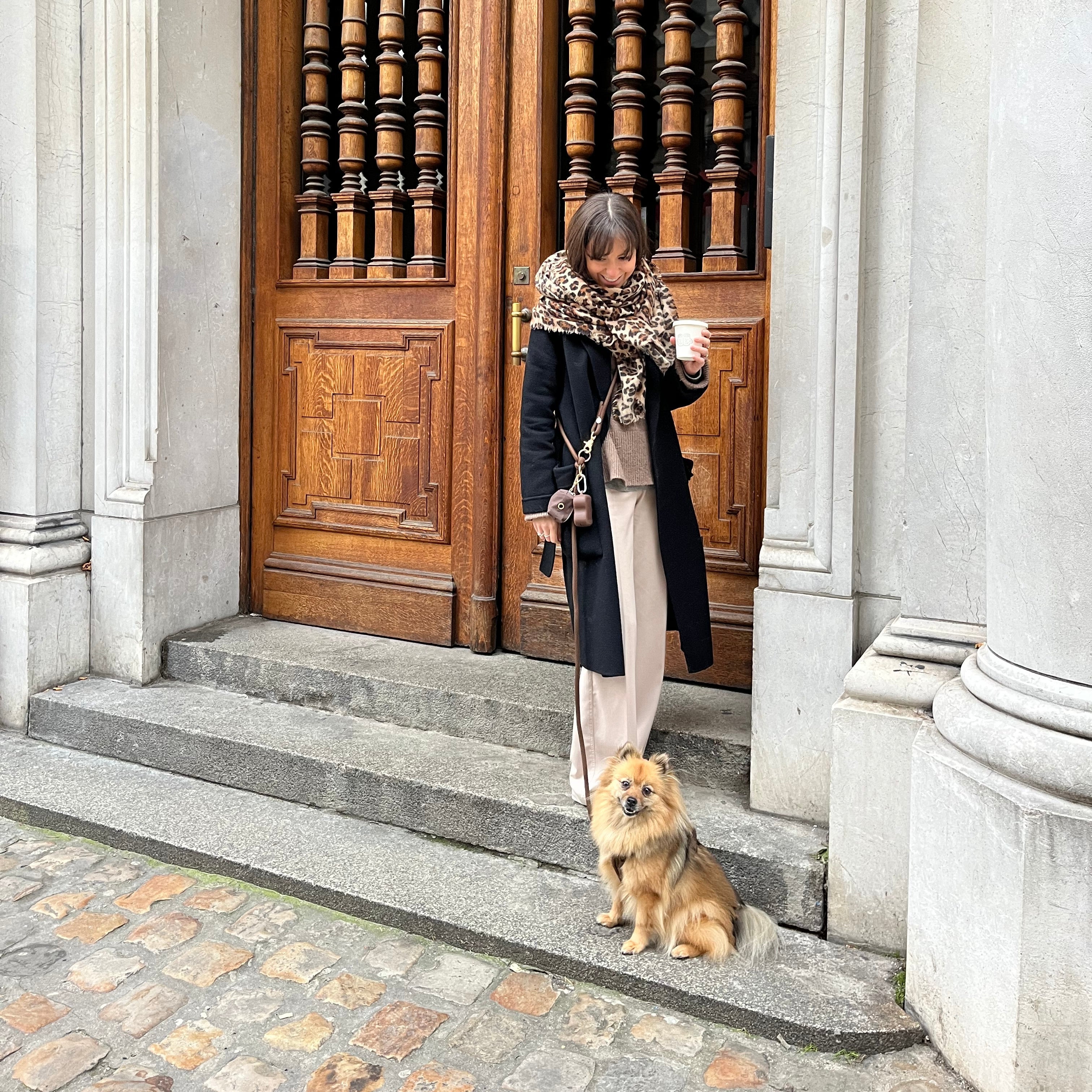 'Terracotta' - Hands Free Braided Leash