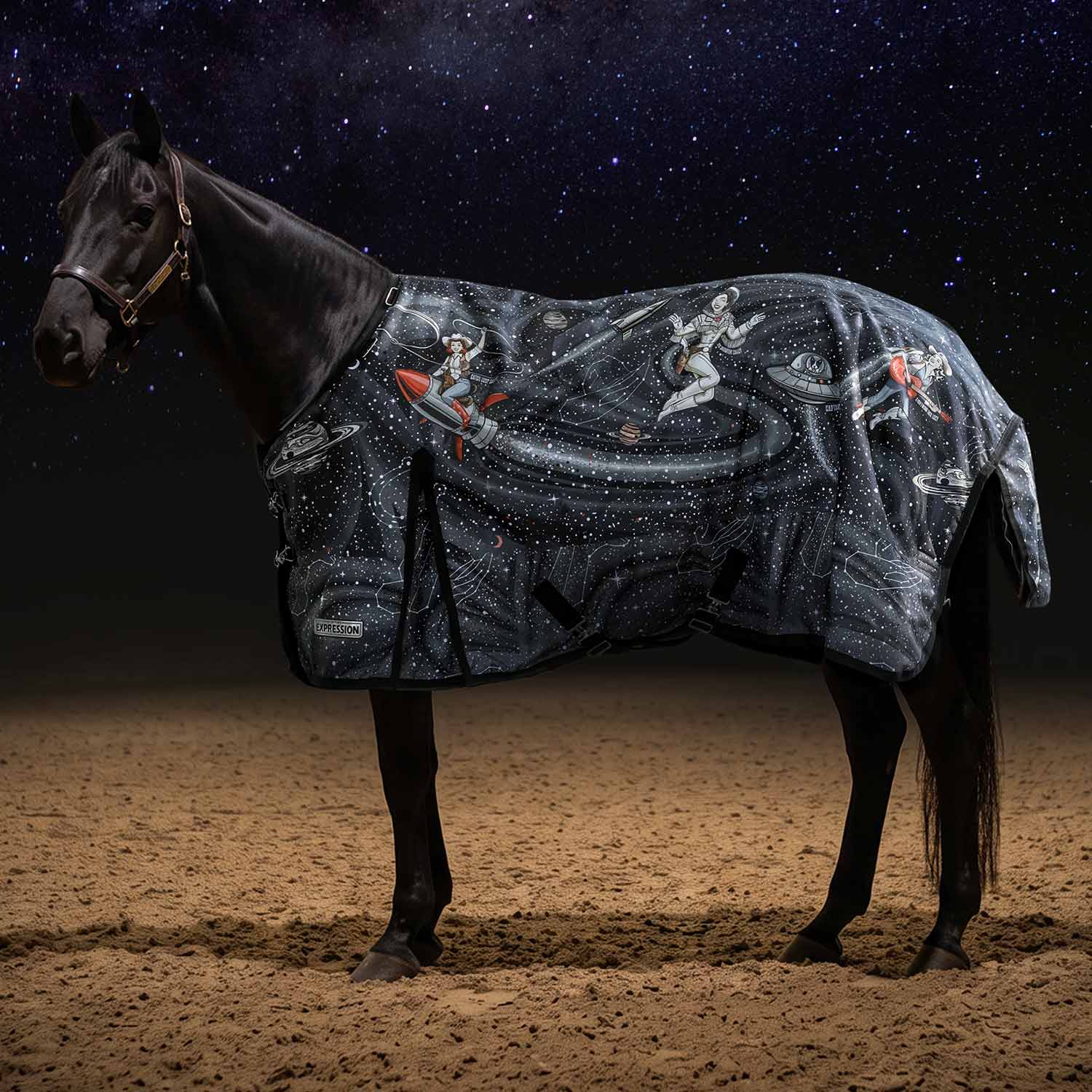 Jeffers Expression 1200 Denier Standard Neck Turnout Horse Blanket, 240 Gram