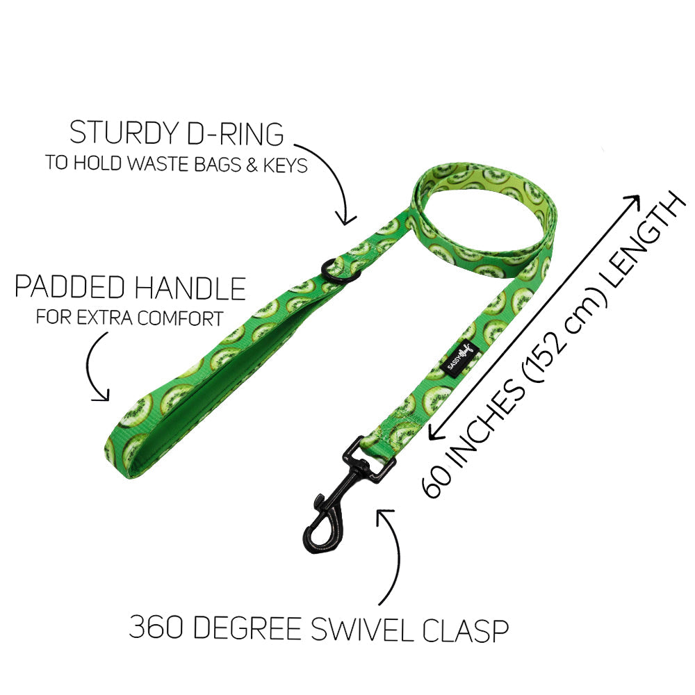Dog Leash  - Kiwi Krazy