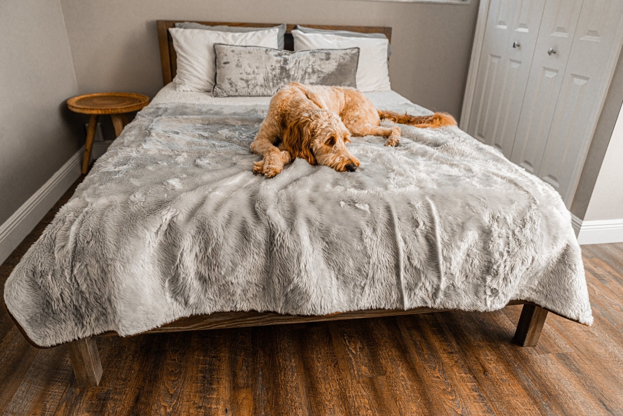 PupProtector Summer Short Fur Waterproof Throw Blanket - Grey