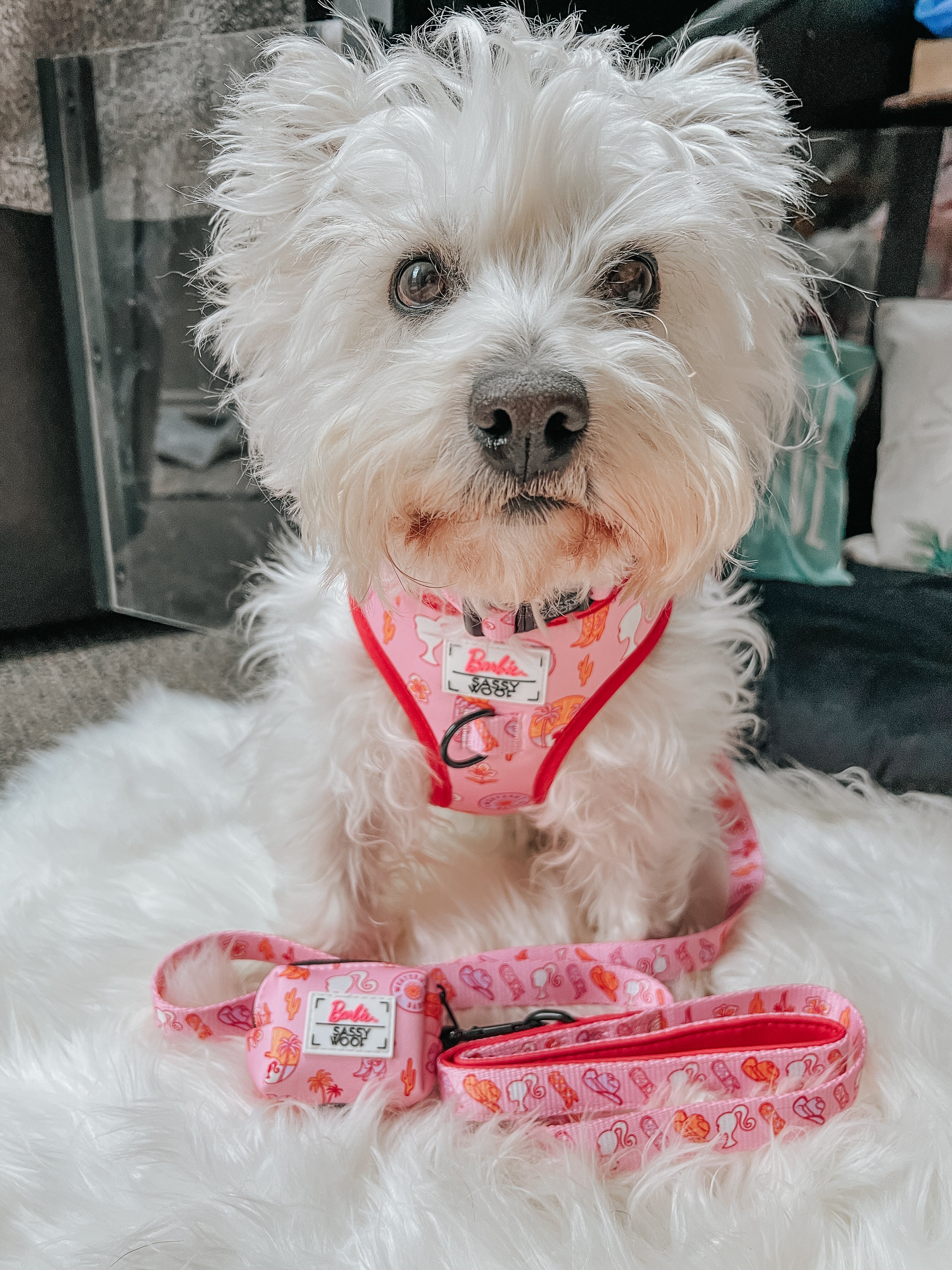 Dog Leash - Western Barbie™
