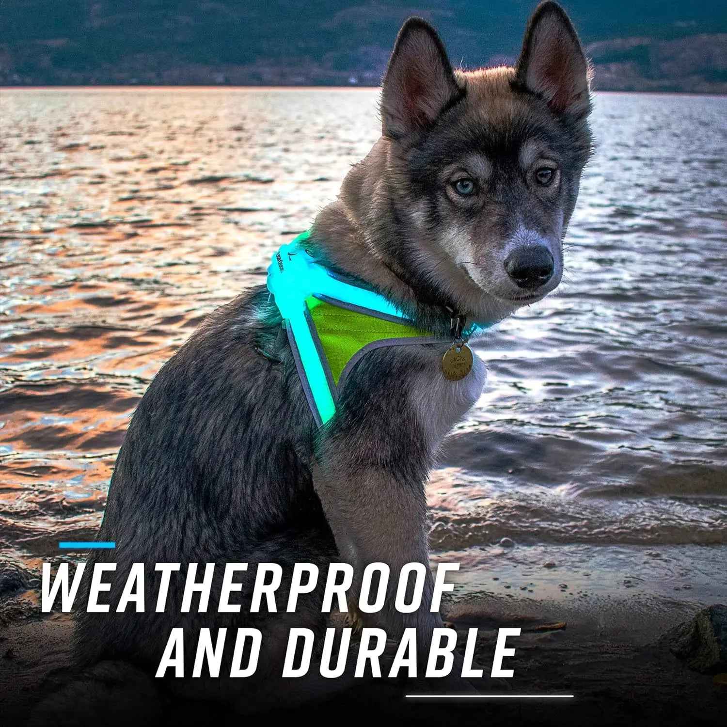 LED Light-Up Dog Harness USB Rechargeable Reflective Vest