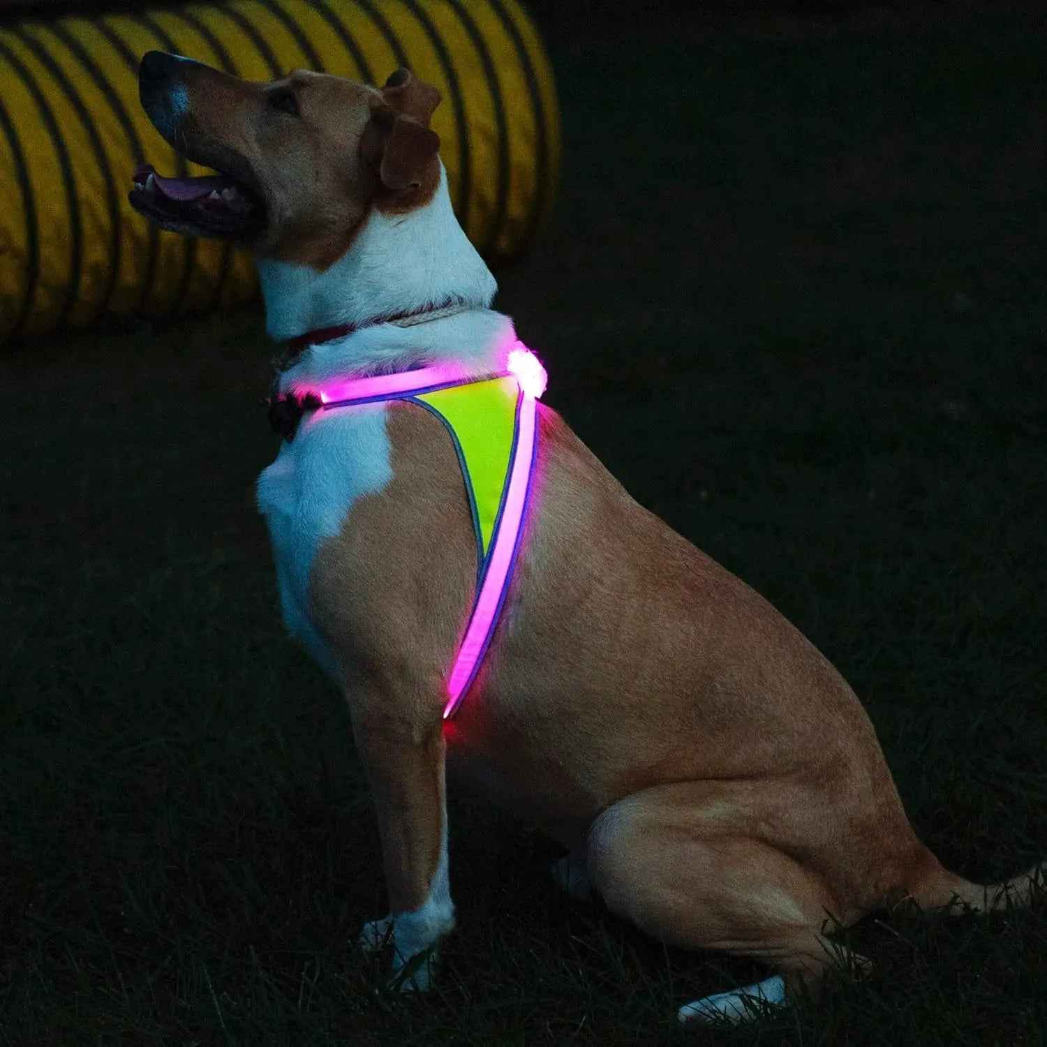 LED Light-Up Dog Harness USB Rechargeable Reflective Vest