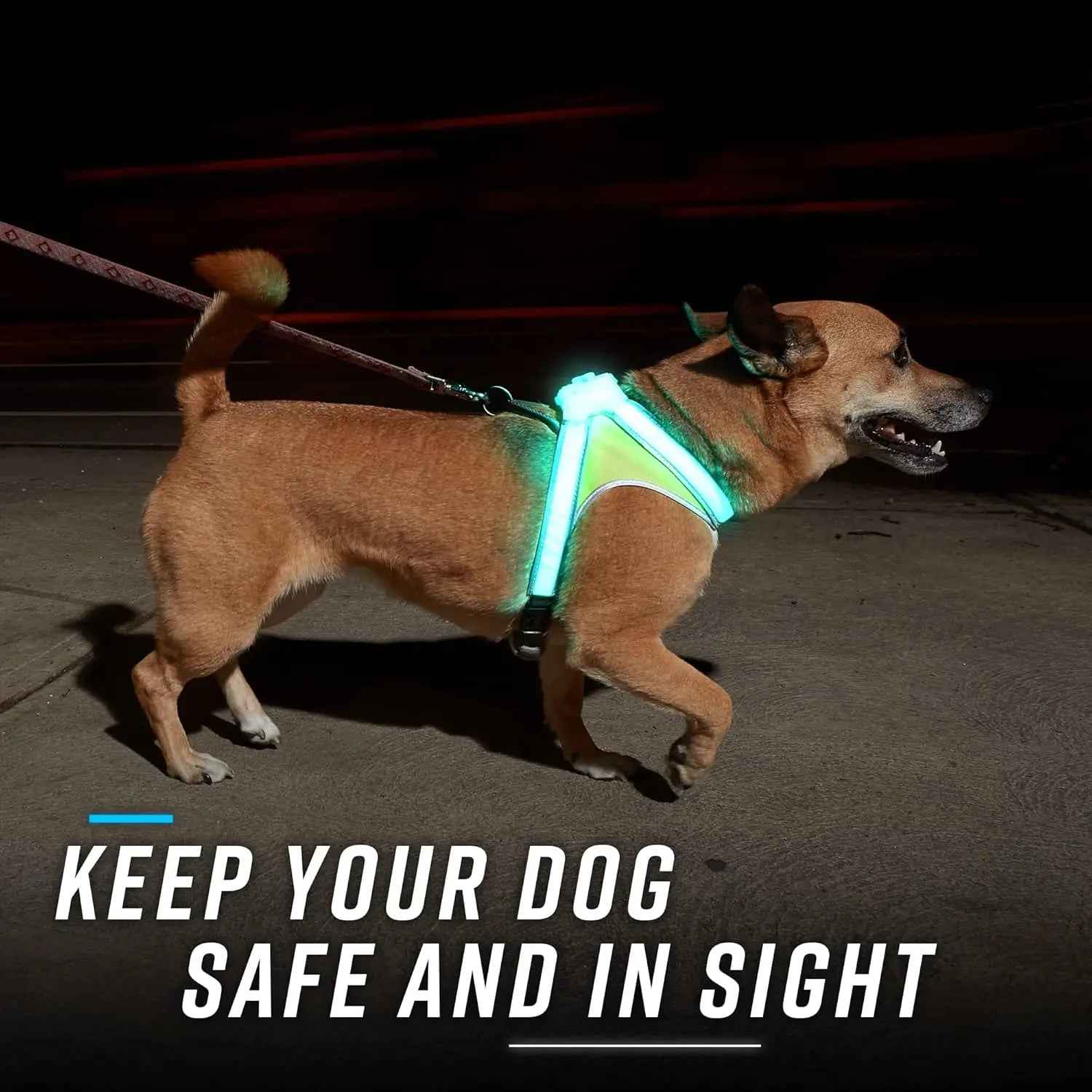 LED Light-Up Dog Harness USB Rechargeable Reflective Vest